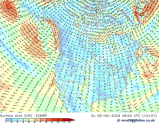  10 m (bft) ECMWF  02.06.2024 09 UTC