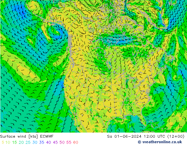 风 10 米 ECMWF 星期六 01.06.2024 12 UTC