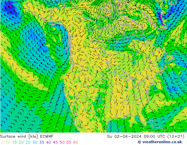 Viento 10 m ECMWF dom 02.06.2024 09 UTC