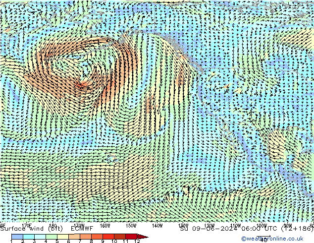Surface wind (bft) ECMWF Ne 09.06.2024 06 UTC