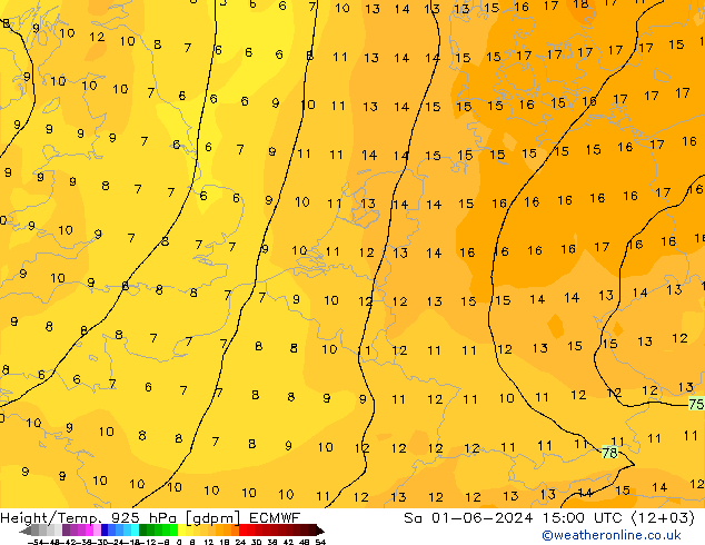 Height/Temp. 925 hPa ECMWF Sa 01.06.2024 15 UTC