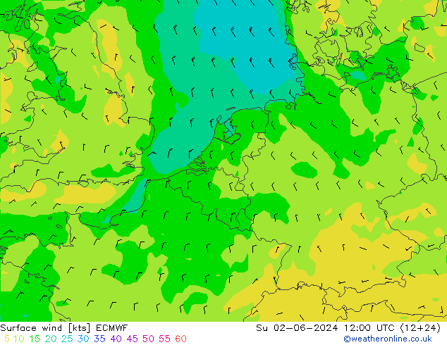 Bodenwind ECMWF So 02.06.2024 12 UTC