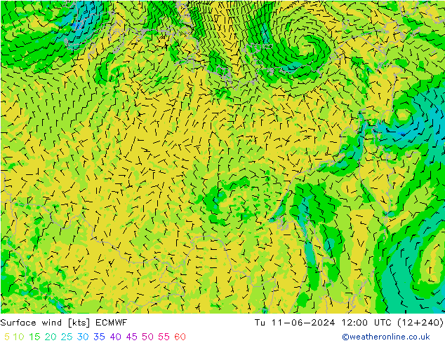 ветер 10 m ECMWF вт 11.06.2024 12 UTC