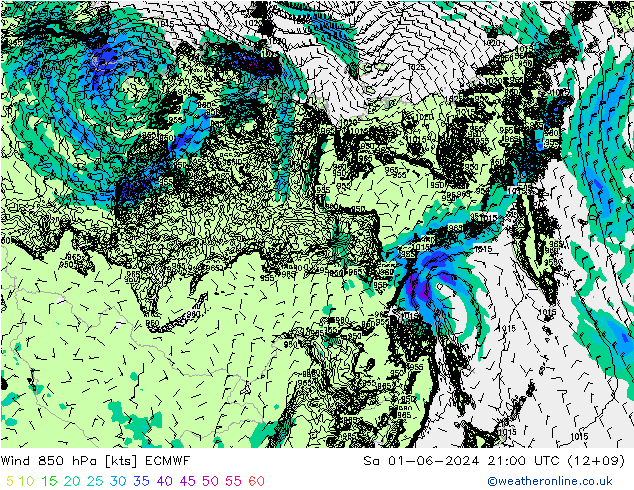   01.06.2024 21 UTC