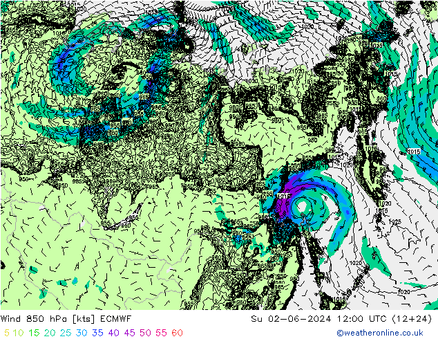   02.06.2024 12 UTC