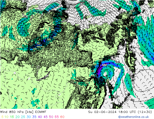   02.06.2024 18 UTC