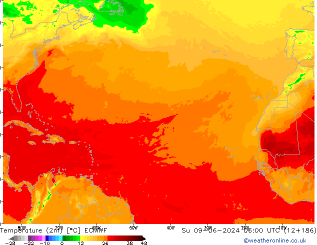 Sıcaklık Haritası (2m) ECMWF Paz 09.06.2024 06 UTC