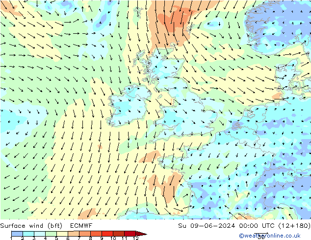 ве�Bе�@ 10 m (bft) ECMWF Вс 09.06.2024 00 UTC