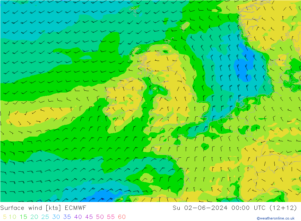 Prec 6h/Wind 10m/950 ECMWF dom 02.06.2024 00 UTC