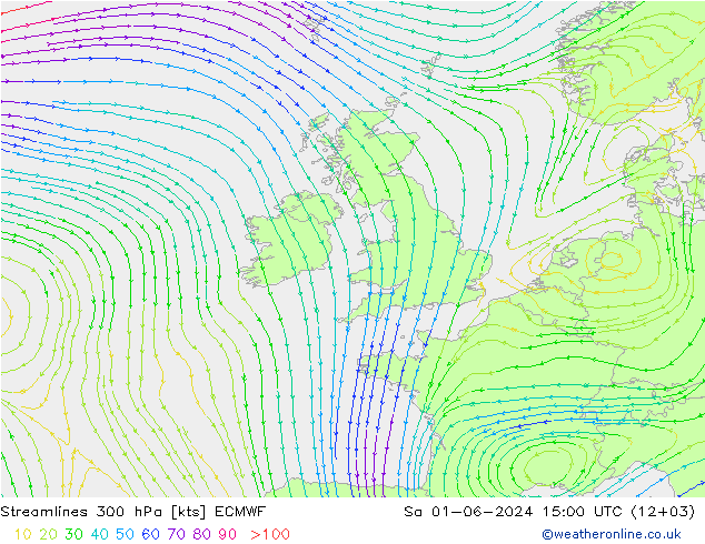 Linea di flusso 300 hPa ECMWF sab 01.06.2024 15 UTC