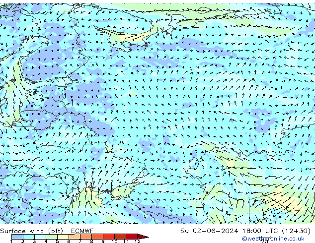 Surface wind (bft) ECMWF Su 02.06.2024 18 UTC
