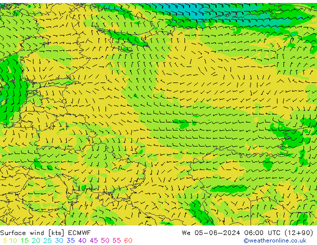 Wind 10 m ECMWF wo 05.06.2024 06 UTC