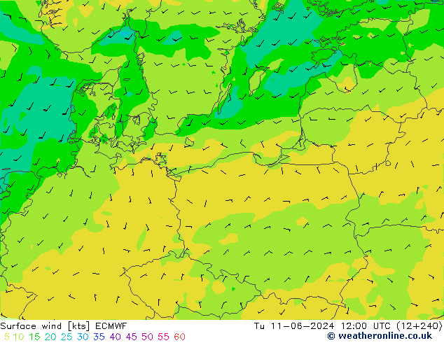 Surface wind ECMWF Tu 11.06.2024 12 UTC