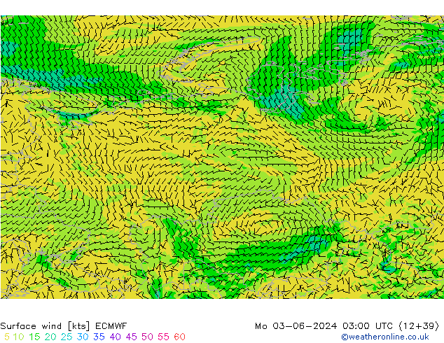 wiatr 10 m ECMWF pon. 03.06.2024 03 UTC