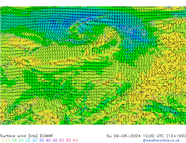 Surface wind ECMWF Ne 09.06.2024 12 UTC