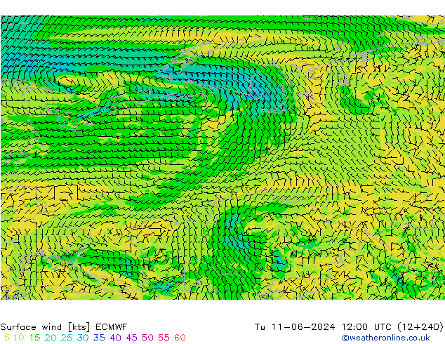 Surface wind ECMWF Tu 11.06.2024 12 UTC