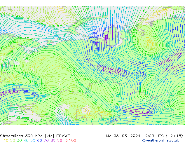 Linia prądu 300 hPa ECMWF pon. 03.06.2024 12 UTC