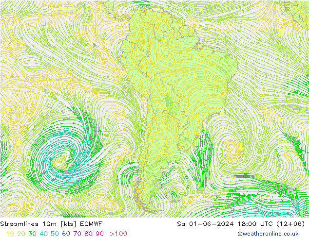 风 10m ECMWF 星期六 01.06.2024 18 UTC