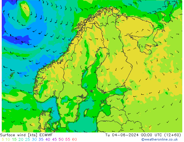 Surface wind ECMWF Tu 04.06.2024 00 UTC