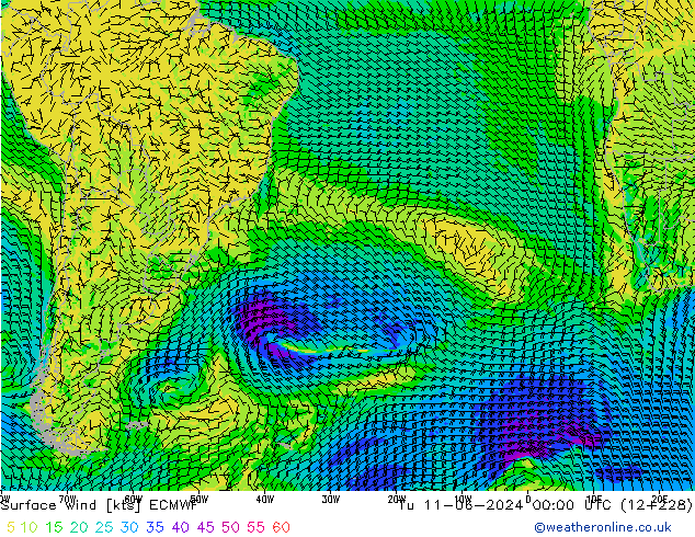Surface wind ECMWF Út 11.06.2024 00 UTC