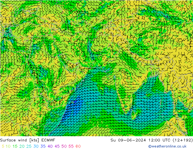 Viento 10 m ECMWF dom 09.06.2024 12 UTC