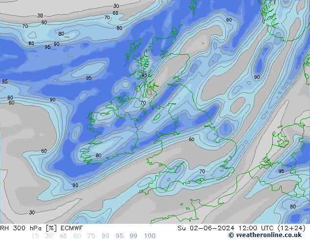 RH 300 гПа ECMWF Вс 02.06.2024 12 UTC