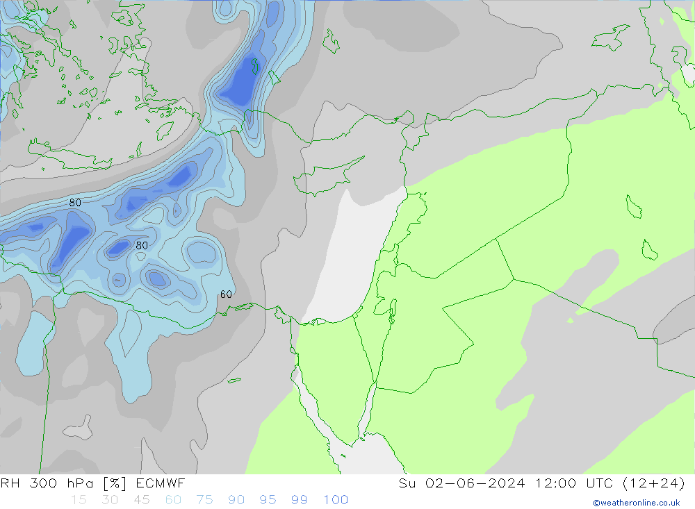 RH 300 hPa ECMWF Dom 02.06.2024 12 UTC