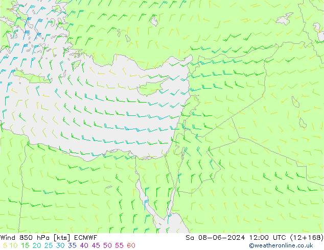 Viento 850 hPa ECMWF sáb 08.06.2024 12 UTC