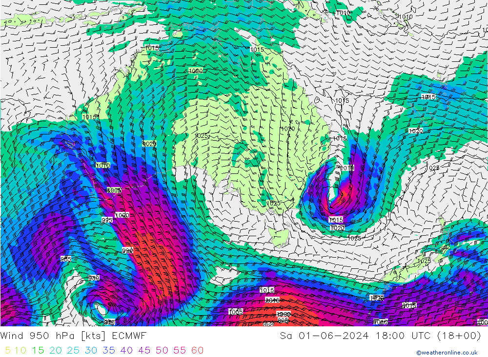 Wind 950 hPa ECMWF Sa 01.06.2024 18 UTC