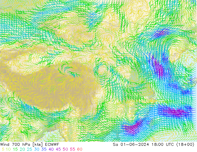 风 700 hPa ECMWF 星期六 01.06.2024 18 UTC