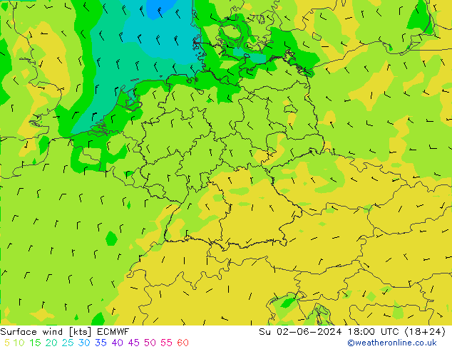 Surface wind ECMWF Su 02.06.2024 18 UTC