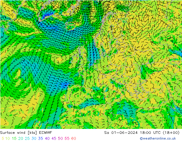  10 m ECMWF  01.06.2024 18 UTC