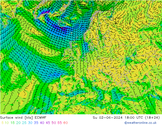 Surface wind ECMWF Su 02.06.2024 18 UTC