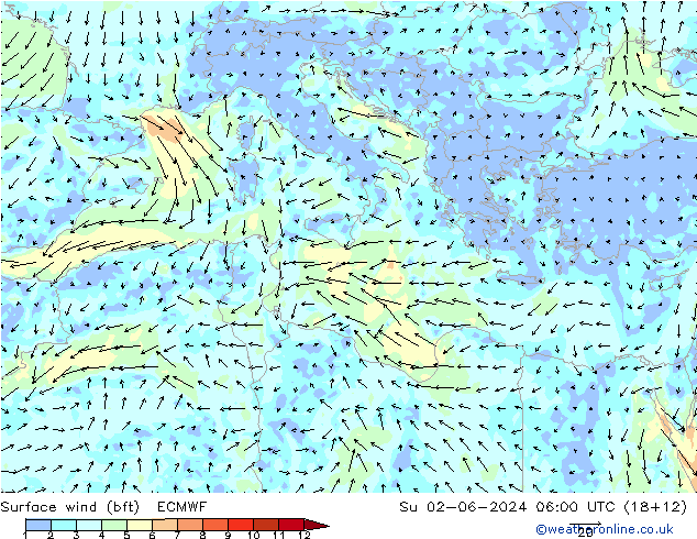  Вс 02.06.2024 06 UTC