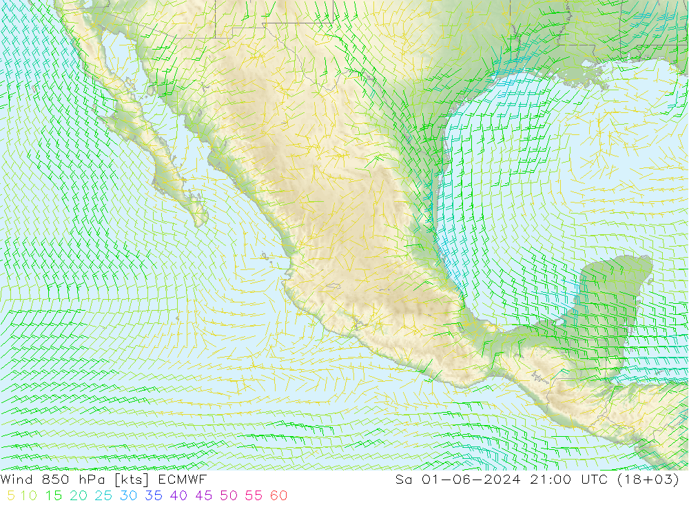 Wind 850 hPa ECMWF Sa 01.06.2024 21 UTC