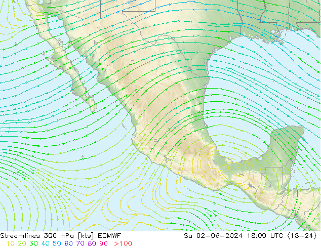 Linha de corrente 300 hPa ECMWF Dom 02.06.2024 18 UTC