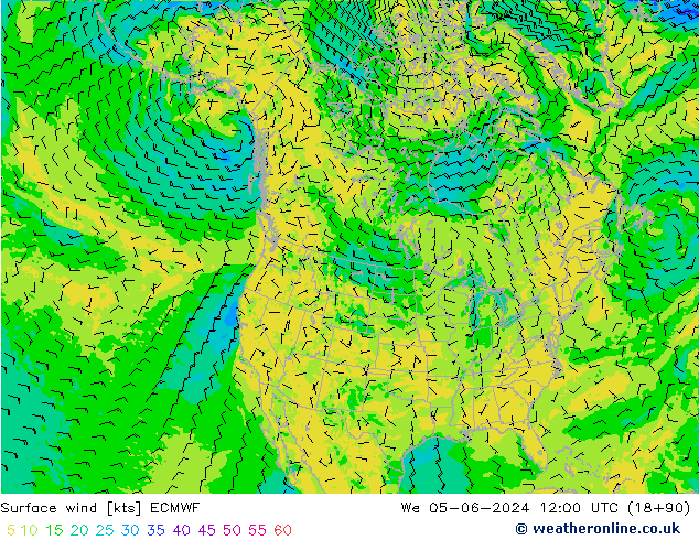 Bodenwind ECMWF Mi 05.06.2024 12 UTC