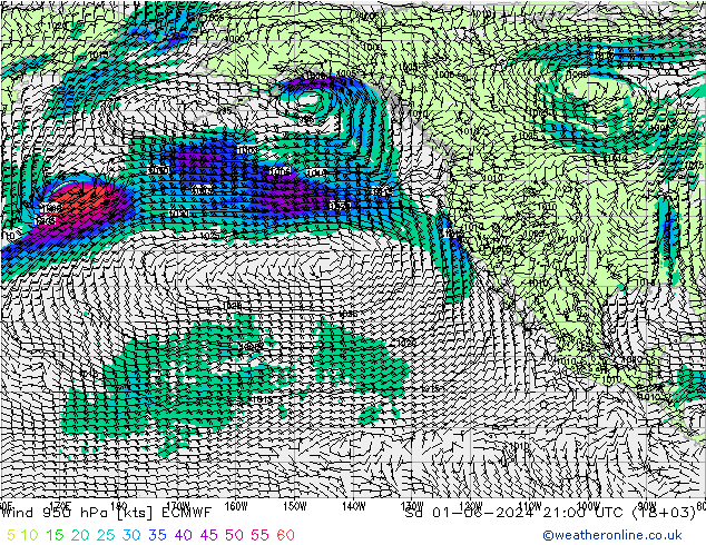 Wind 950 hPa ECMWF So 01.06.2024 21 UTC