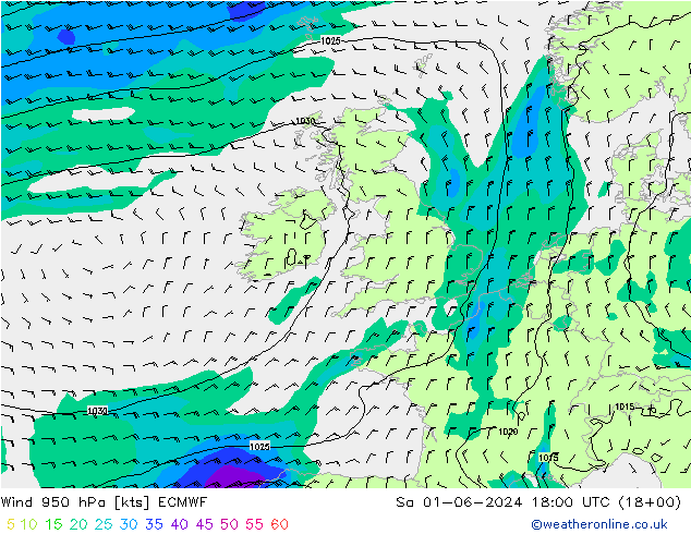 ветер 950 гПа ECMWF сб 01.06.2024 18 UTC