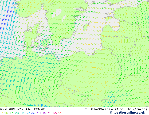 Wind 900 hPa ECMWF Sa 01.06.2024 21 UTC