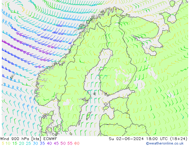 Viento 900 hPa ECMWF dom 02.06.2024 18 UTC