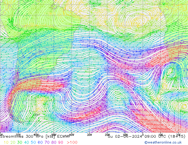 ветер 300 гПа ECMWF Вс 02.06.2024 09 UTC