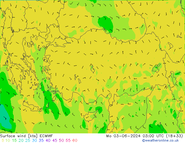 Rüzgar 10 m ECMWF Pzt 03.06.2024 03 UTC