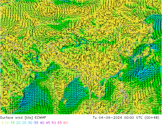 Rüzgar 10 m ECMWF Sa 04.06.2024 00 UTC