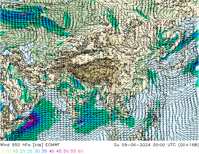 Wind 950 hPa ECMWF zo 09.06.2024 00 UTC