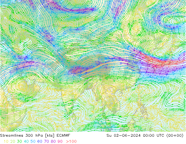 ветер 300 гПа ECMWF Вс 02.06.2024 00 UTC