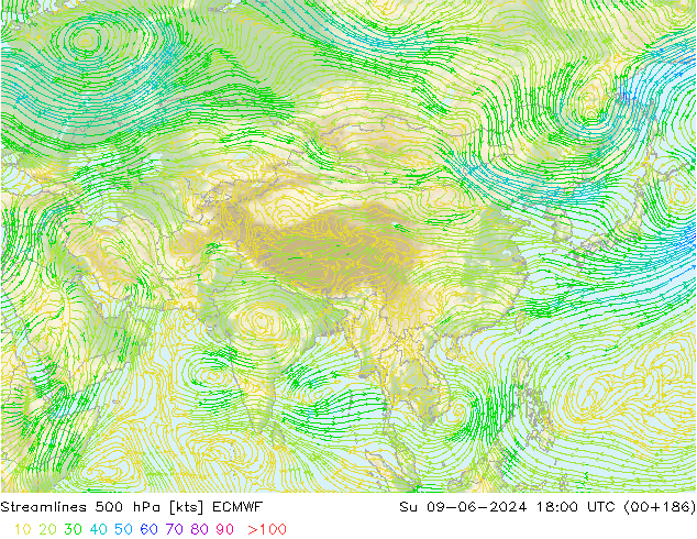 Línea de corriente 500 hPa ECMWF dom 09.06.2024 18 UTC