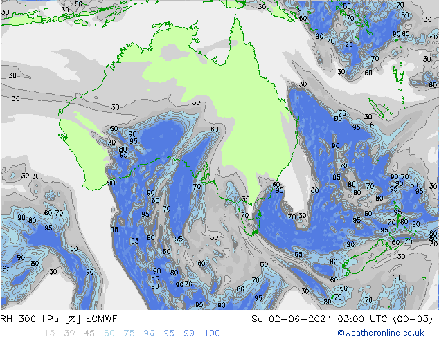 RH 300 hPa ECMWF  02.06.2024 03 UTC