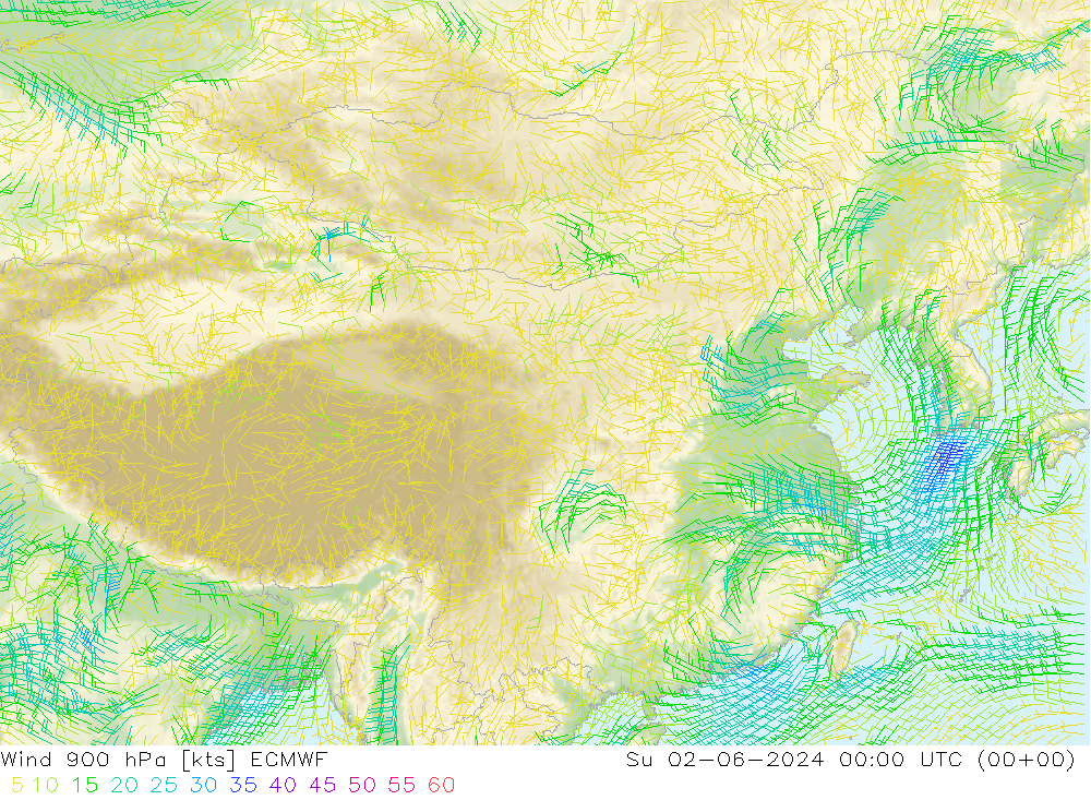 Vento 900 hPa ECMWF Dom 02.06.2024 00 UTC