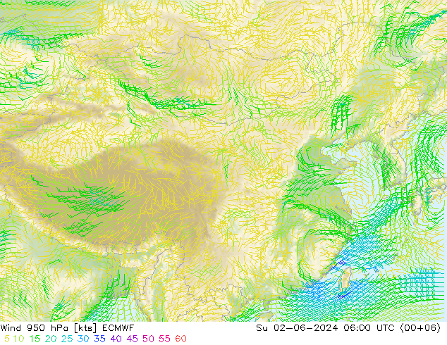 Rüzgar 950 hPa ECMWF Paz 02.06.2024 06 UTC